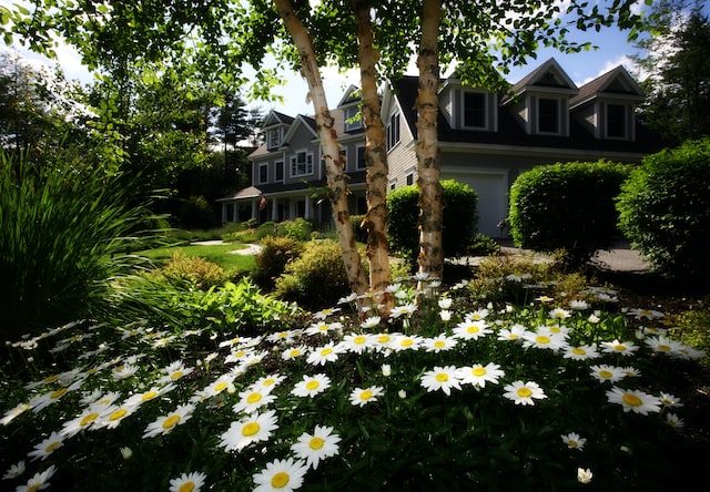 Staging Your Champaign County Home to Sell? Don’t Forget the Garden!