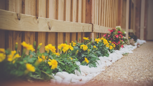 5 Affordable Landscape Ideas for Your Champaign County Home