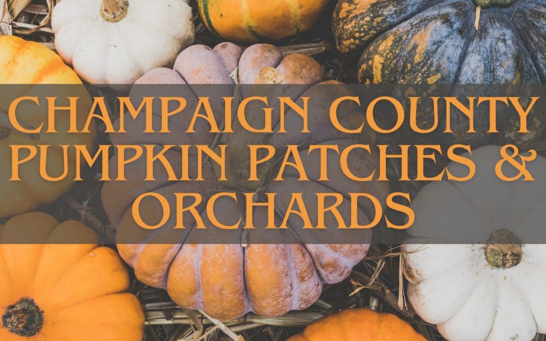 The Best Apples and Pumpkins in Champaign County