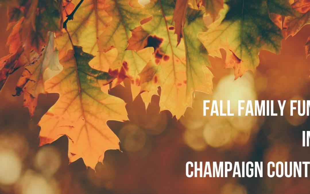 Celebrate Fall at These Champaign County Events