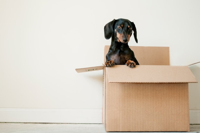 Making Moving into Your Champaign Home Simple and Organized
